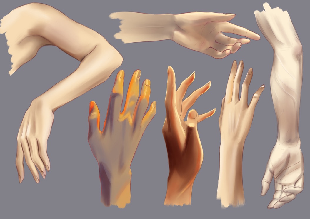 Study 05